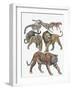 Carnivores from the Felidae Family-null-Framed Giclee Print