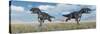 Carnivorous Allosaurus Dinosaurs During Earth's Jurassic Period-Stocktrek Images-Stretched Canvas