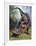 Carnotaurus Attacking an Antarctopelta Armored Dinosaur-Stocktrek Images-Framed Art Print