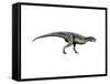 Carnotaurus Dinosaur-null-Framed Stretched Canvas