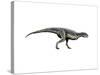 Carnotaurus Dinosaur-null-Stretched Canvas