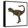 Carnotaurus Dinosaur-Stocktrek Images-Framed Stretched Canvas