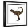 Carnotaurus Dinosaur-Stocktrek Images-Framed Art Print