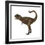 Carnotaurus Dinosaur-Stocktrek Images-Framed Art Print