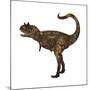 Carnotaurus Dinosaur-Stocktrek Images-Mounted Art Print