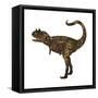 Carnotaurus Dinosaur-Stocktrek Images-Framed Stretched Canvas