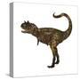 Carnotaurus Dinosaur-Stocktrek Images-Stretched Canvas