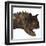 Carnotaurus Dinosaur-Stocktrek Images-Framed Art Print