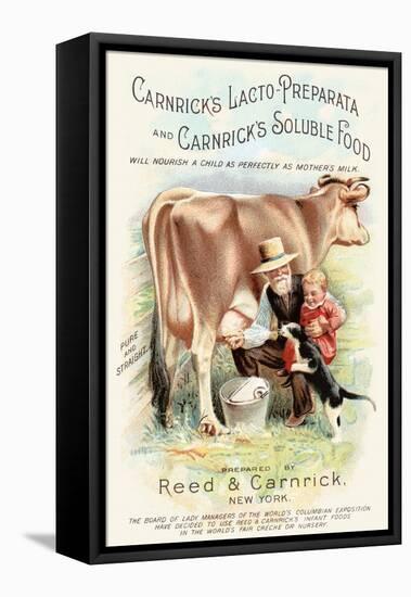 Carnrick's Lacto-Preparata and Carnrick's Soluble Food-null-Framed Stretched Canvas