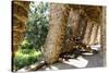 Carobs Viaduct, Park Guell, Barcelona, Spain-George Oze-Stretched Canvas