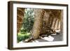 Carobs Viaduct, Park Guell, Barcelona, Spain-George Oze-Framed Photographic Print