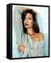 Carol Alt-null-Framed Stretched Canvas