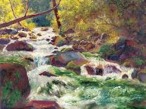 Mountain Stream-Carol Bailey-Art Print