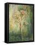 Framed Canvas