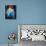 Carol Burnett-null-Photo displayed on a wall