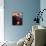 Carol Burnett-null-Mounted Photo displayed on a wall