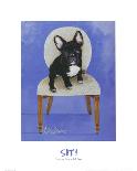 Playful Pup IV-Carol Dillon-Framed Stretched Canvas