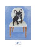 Playful Pup IX-Carol Dillon-Art Print