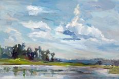 Marsh Skies-Carol Hallock-Stretched Canvas