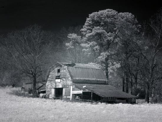 Photo, , large