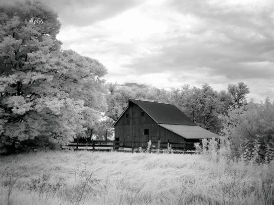 Photo, , large