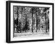 Black Frame