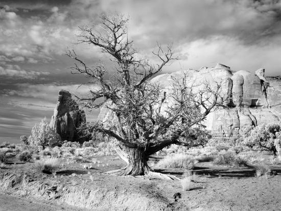 Photo, , large