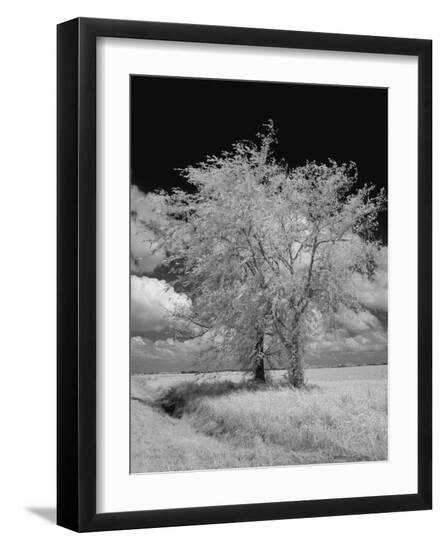 Photo, , large