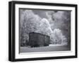 Black Frame
