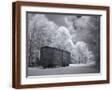 Brown Frame
