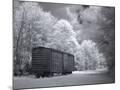 Wood Mount