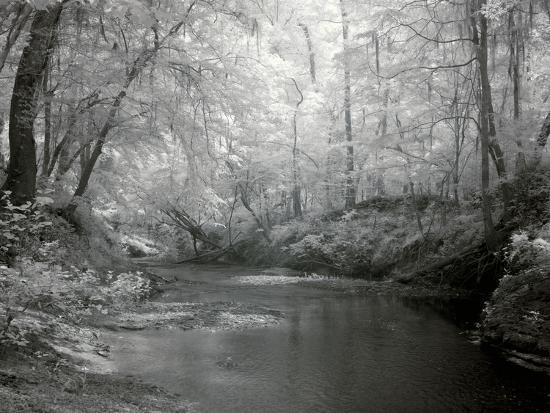 Photo, , large