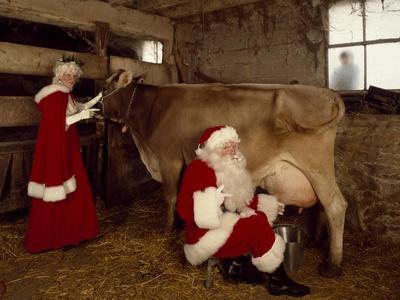 Santa Milks a Cow