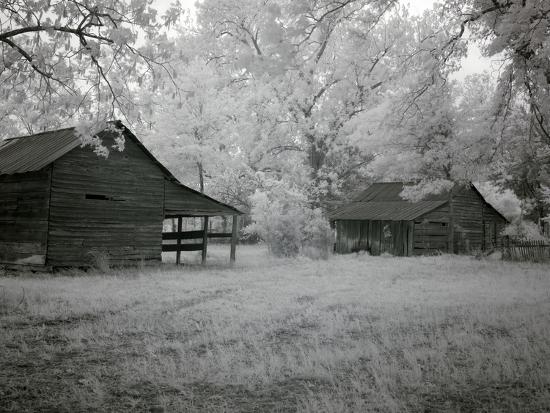 Photo, , large