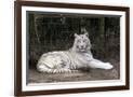 Gramercy Espresso