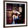 Carol Lynley-null-Framed Photo