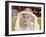 Carol Lynley-null-Framed Photo