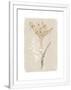 Gramercy White