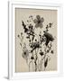 Gramercy White