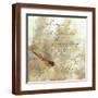 Brown Frame