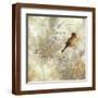 Brown Frame