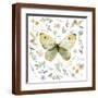 Brown Frame