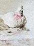 Just the Print
