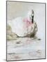 Wood Mount