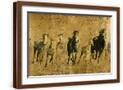 Brown Frame