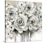 Stretched Canvas