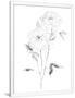 Gramercy White