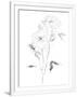 Gramercy White