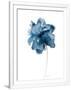Gramercy White
