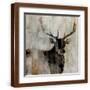 Brown Frame